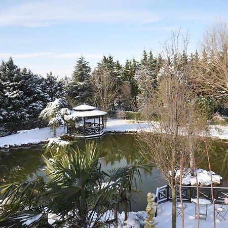 Grandma'S Wonderland Guest House Gazitepekoy Bagian luar foto