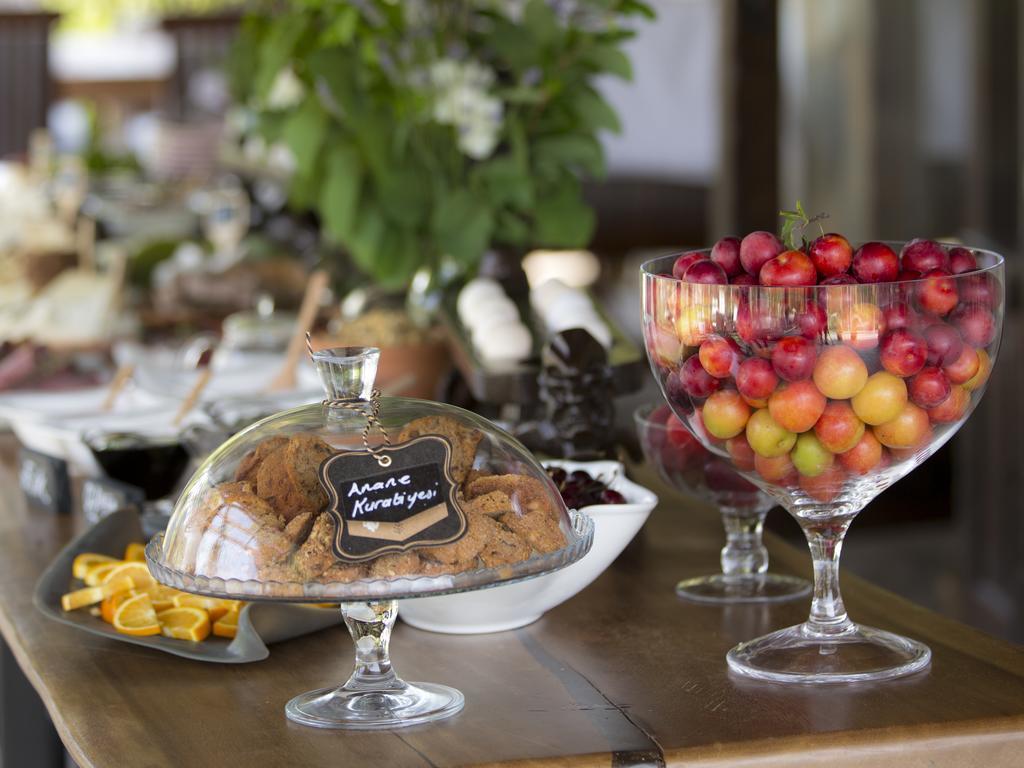 Grandma'S Wonderland Guest House Gazitepekoy Bagian luar foto