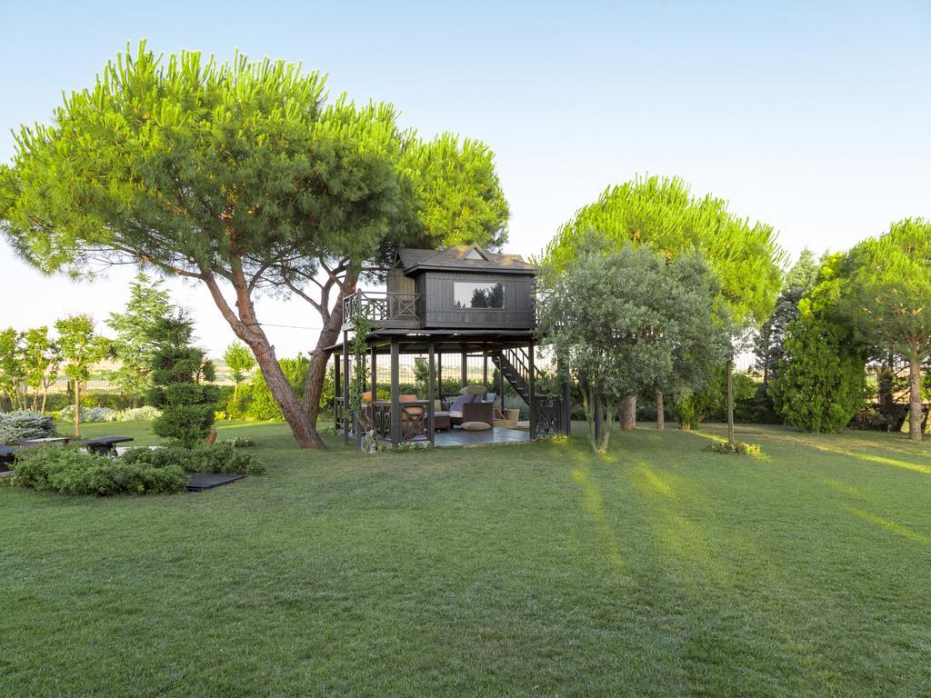 Grandma'S Wonderland Guest House Gazitepekoy Bagian luar foto
