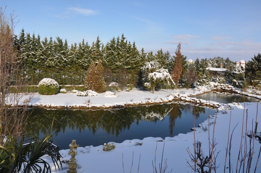 Grandma'S Wonderland Guest House Gazitepekoy Bagian luar foto